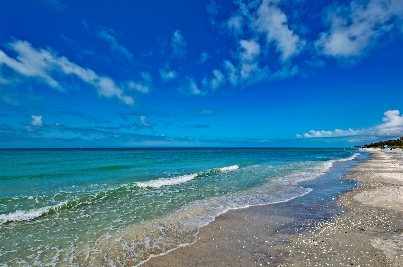 1050 OLYMPIA RD, VENICE, FL, 34293