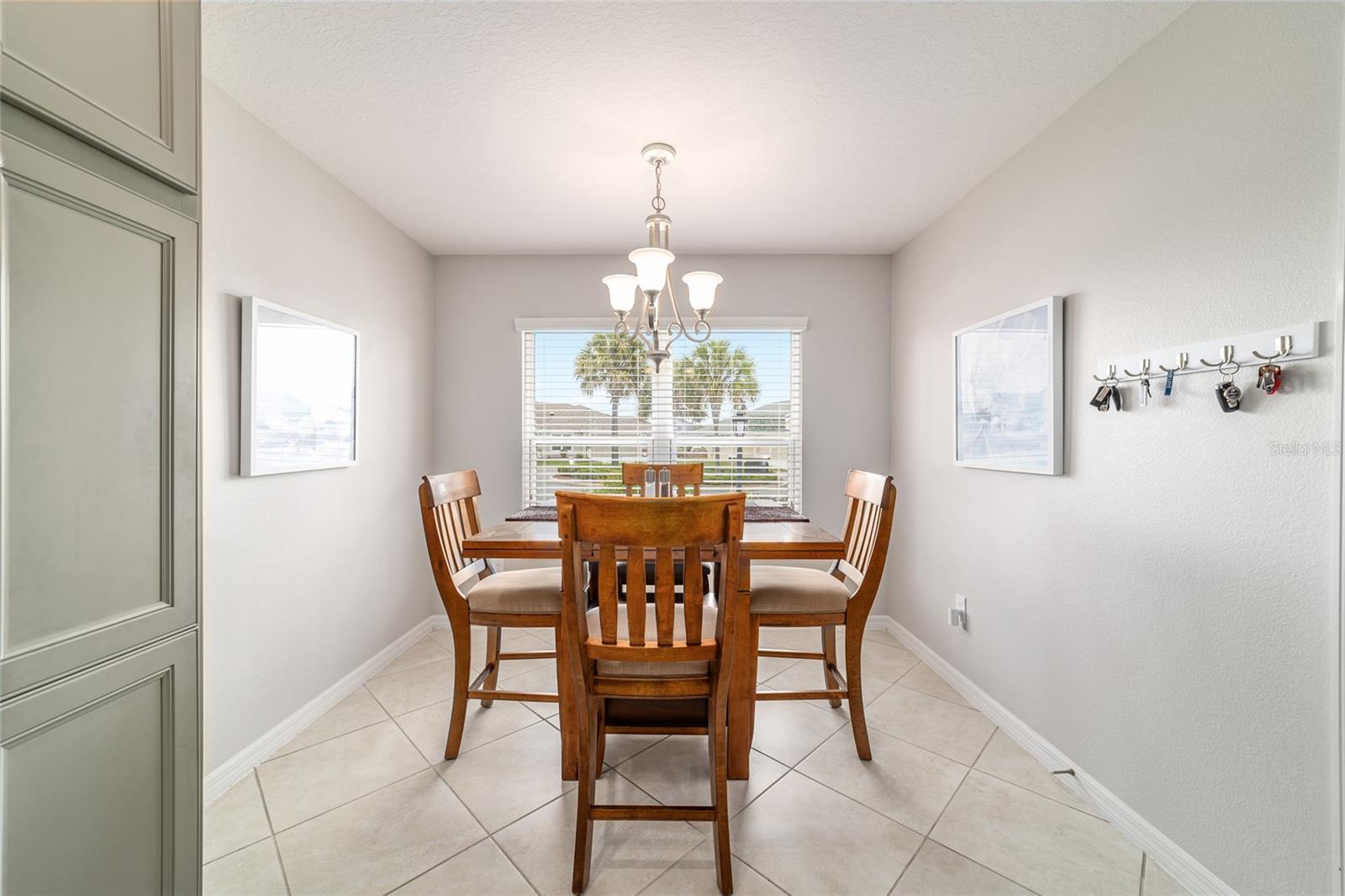 3285 DRESSENDORFER DR, THE VILLAGES, FL, 32163
