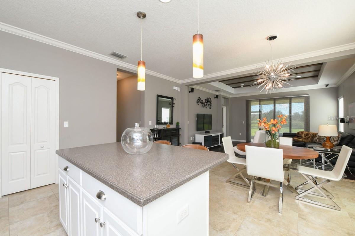 16823 DESTREHEN CT, PARRISH, FL, 34219