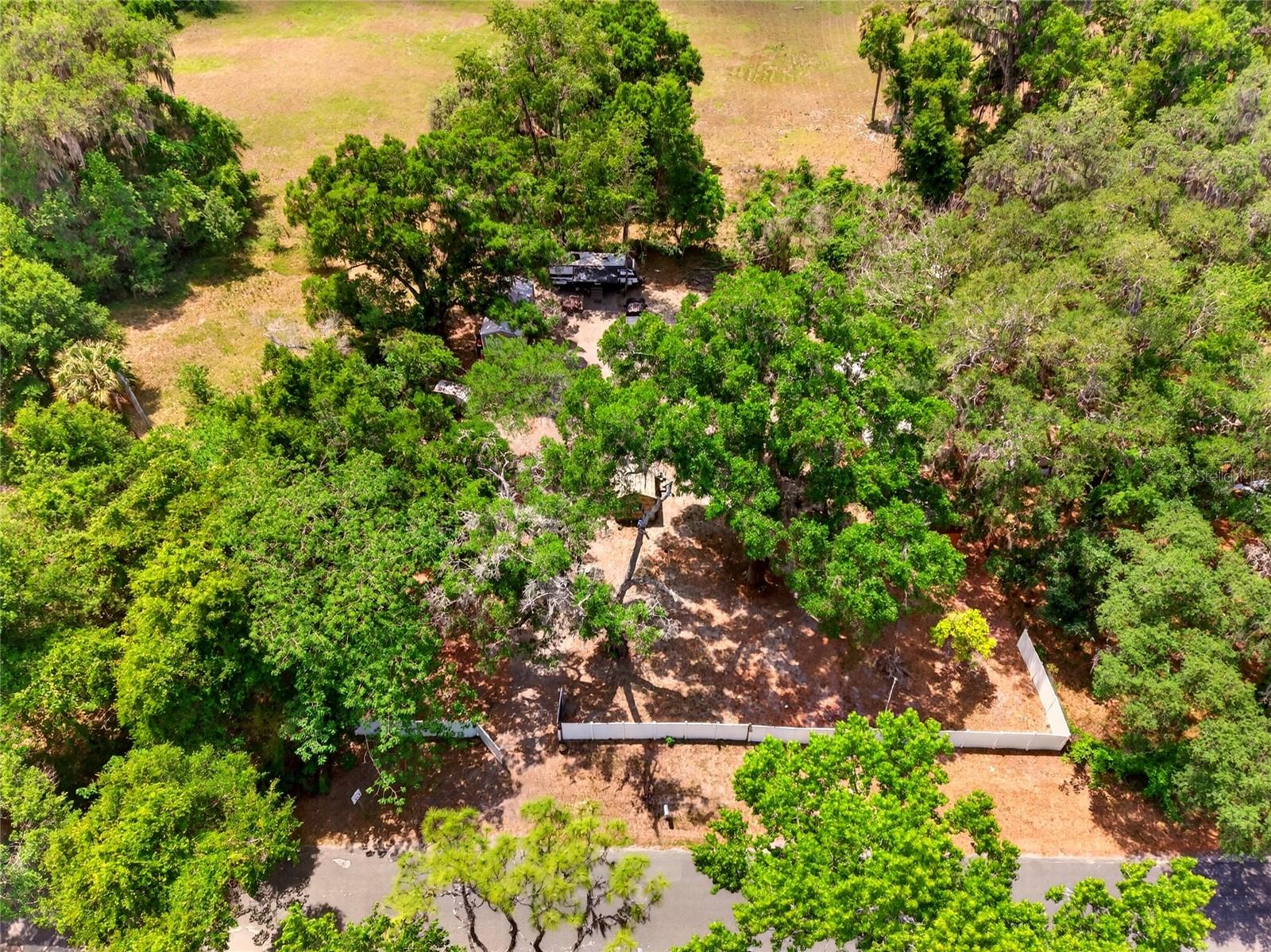 17684 NE 24TH AVE, CITRA, FL, 32113