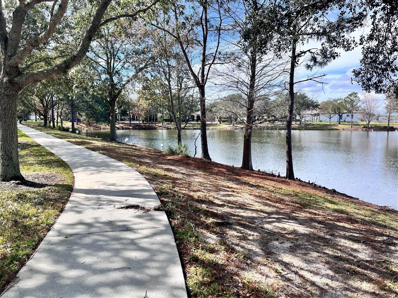 15532 AVENUE OF THE ARBORS, WINTER GARDEN, FL, 34787
