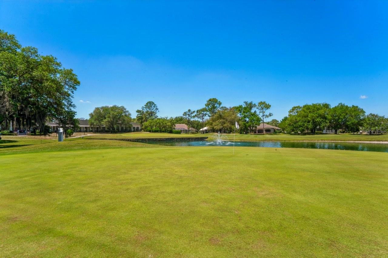 14468 MIDDLE FAIRWAY DR, SPRING HILL, FL, 34609