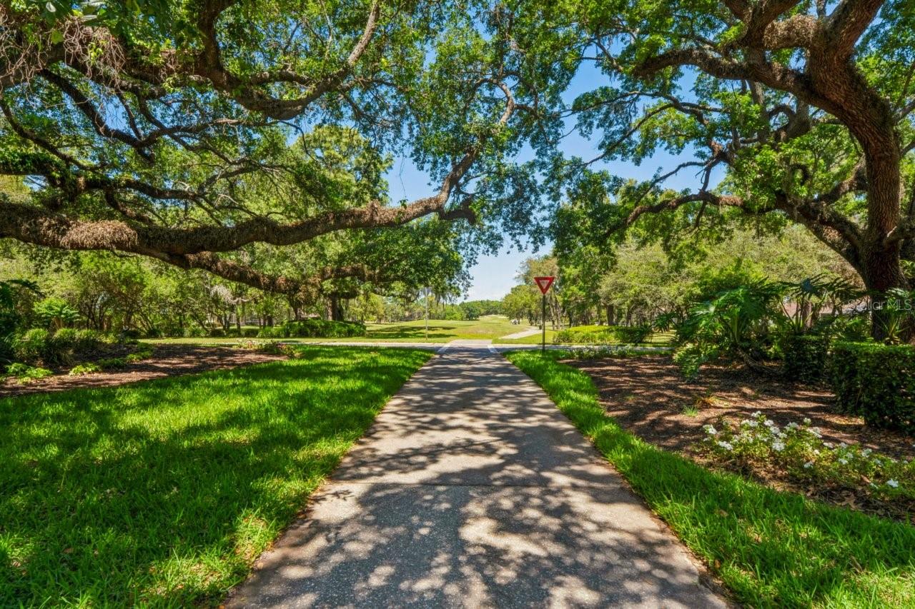 14468 MIDDLE FAIRWAY DR, SPRING HILL, FL, 34609