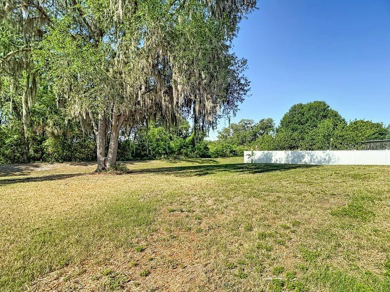 12244 LOOPBACK DR, SAN ANTONIO, FL, 33576