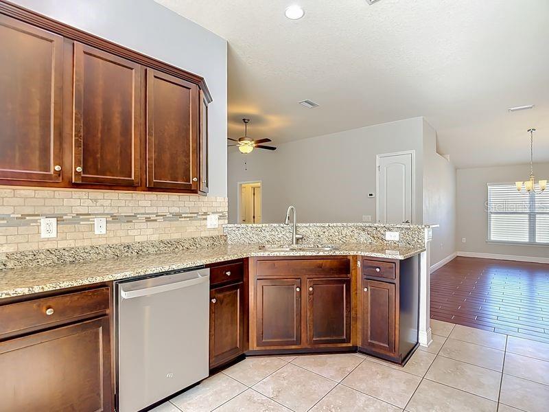 12244 LOOPBACK DR, SAN ANTONIO, FL, 33576