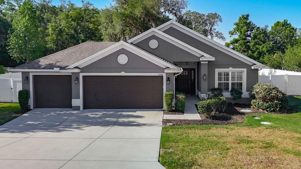 12244 LOOPBACK DR, SAN ANTONIO, FL, 33576