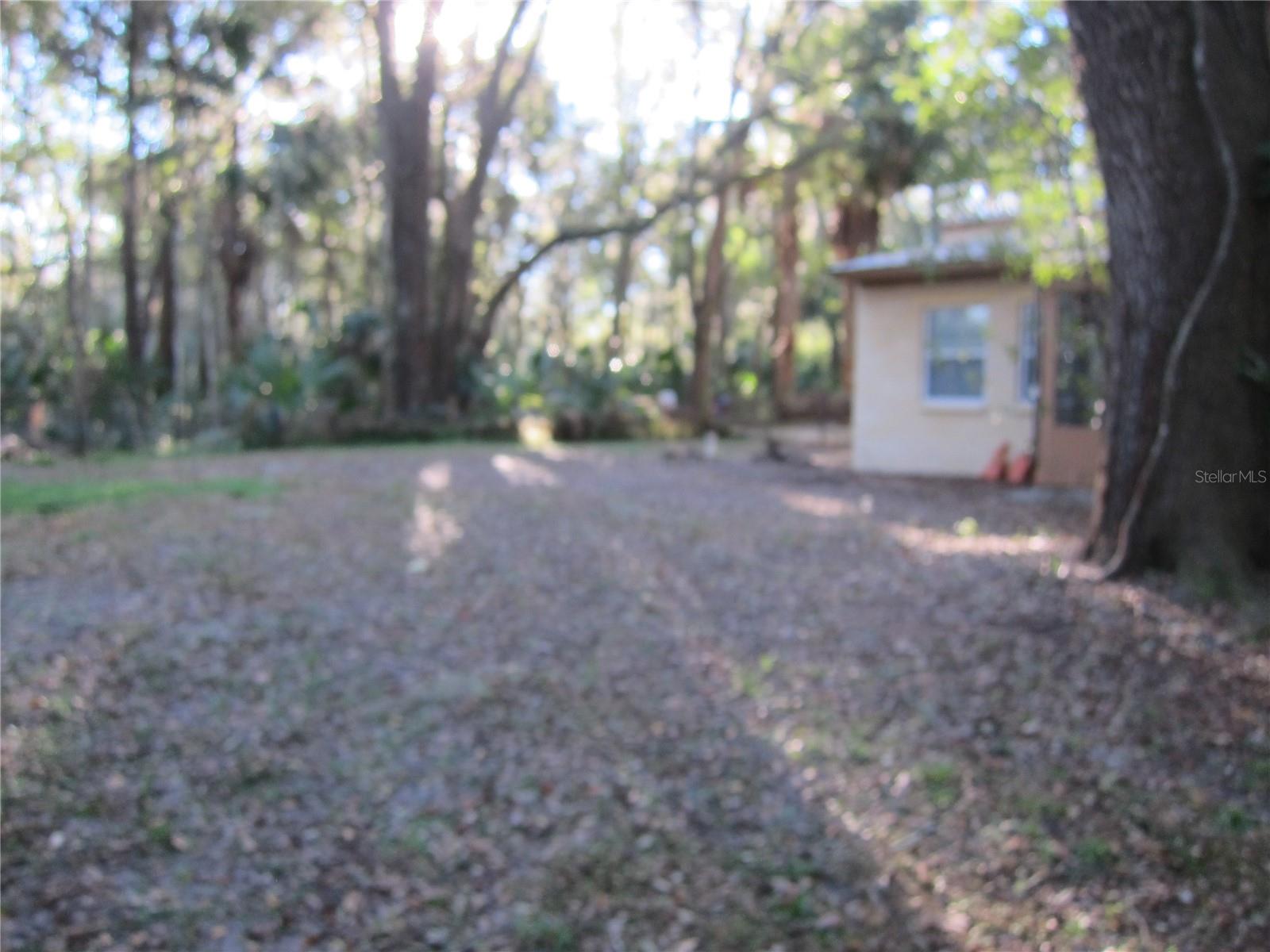 208 NE 7 PL #A, MICANOPY, FL, 32667
