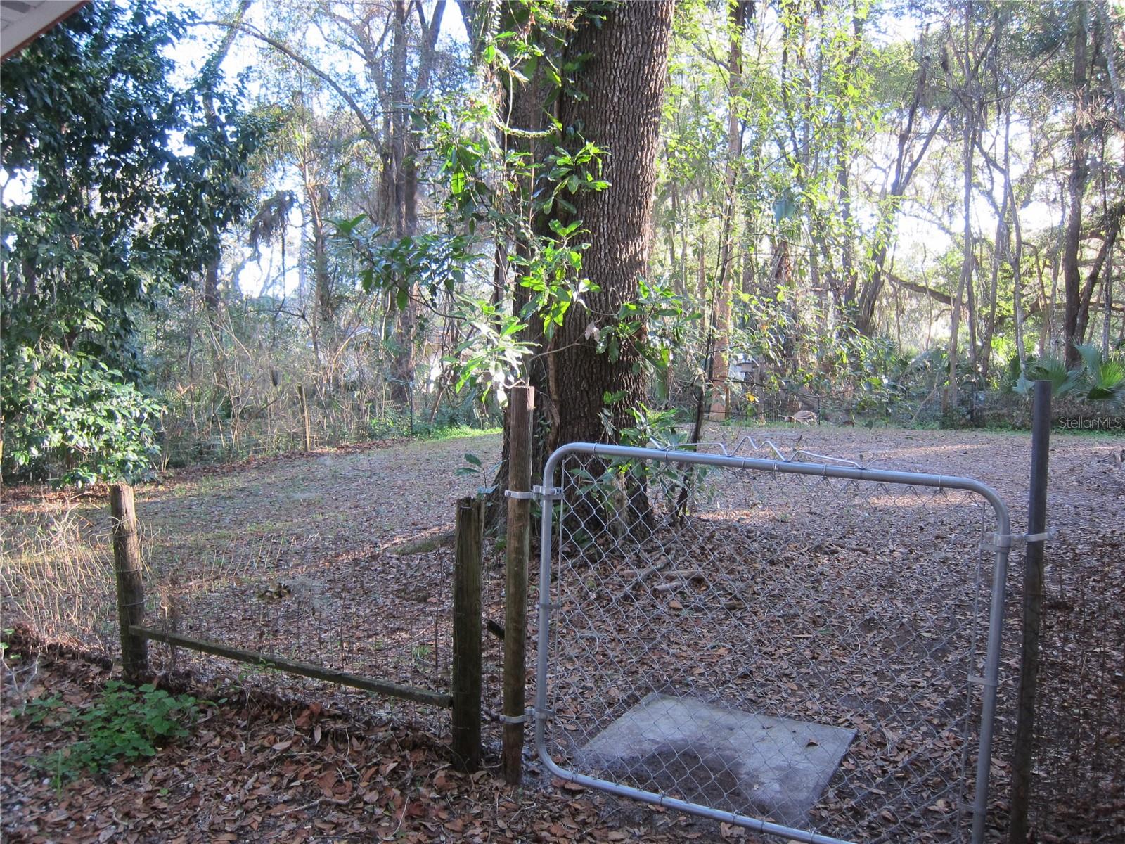 208 NE 7 PL #A, MICANOPY, FL, 32667
