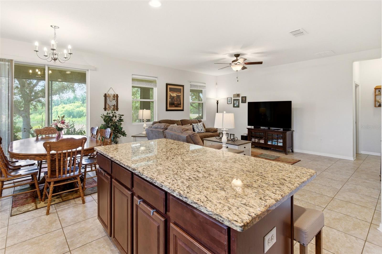133 LAKESHORE DR, DAVENPORT, FL, 33837