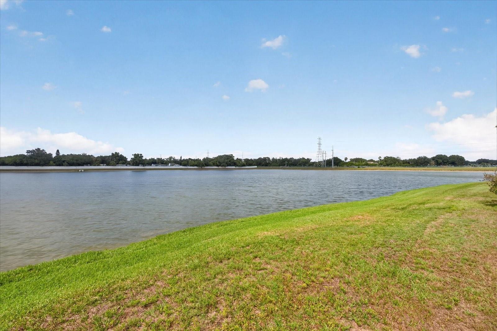 8405 CANTERBURY LAKE BLVD, TAMPA, FL, 33619
