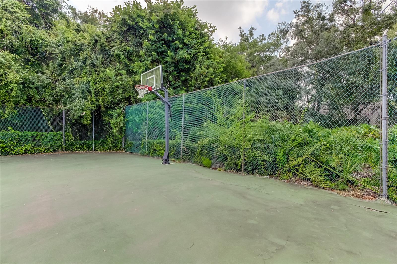 2909 FIG CT, PALM HARBOR, FL, 34684