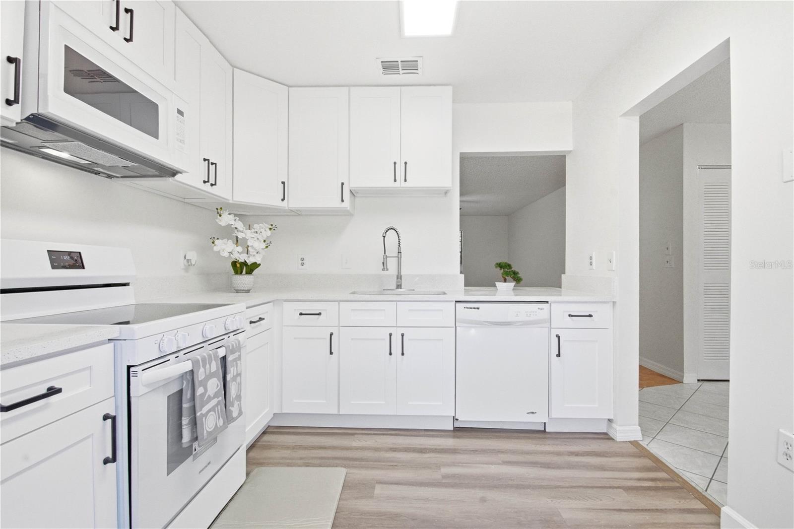 2909 FIG CT, PALM HARBOR, FL, 34684