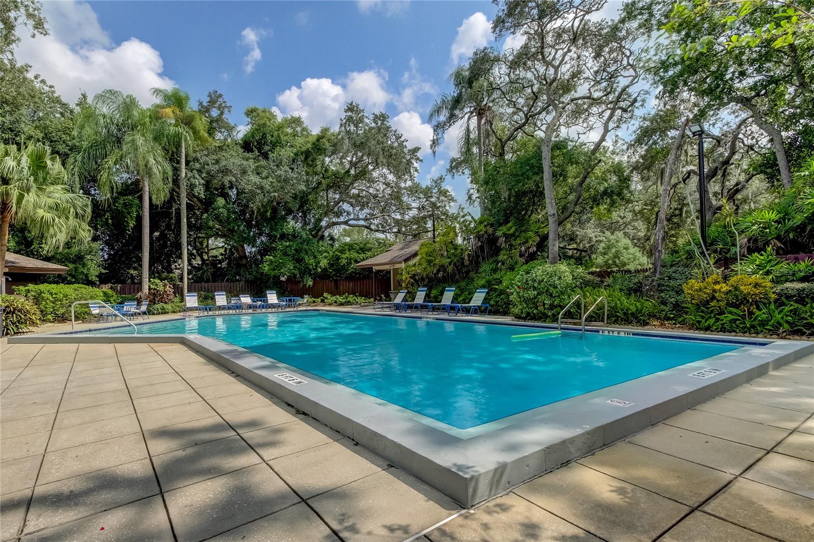 2909 FIG CT, PALM HARBOR, FL, 34684