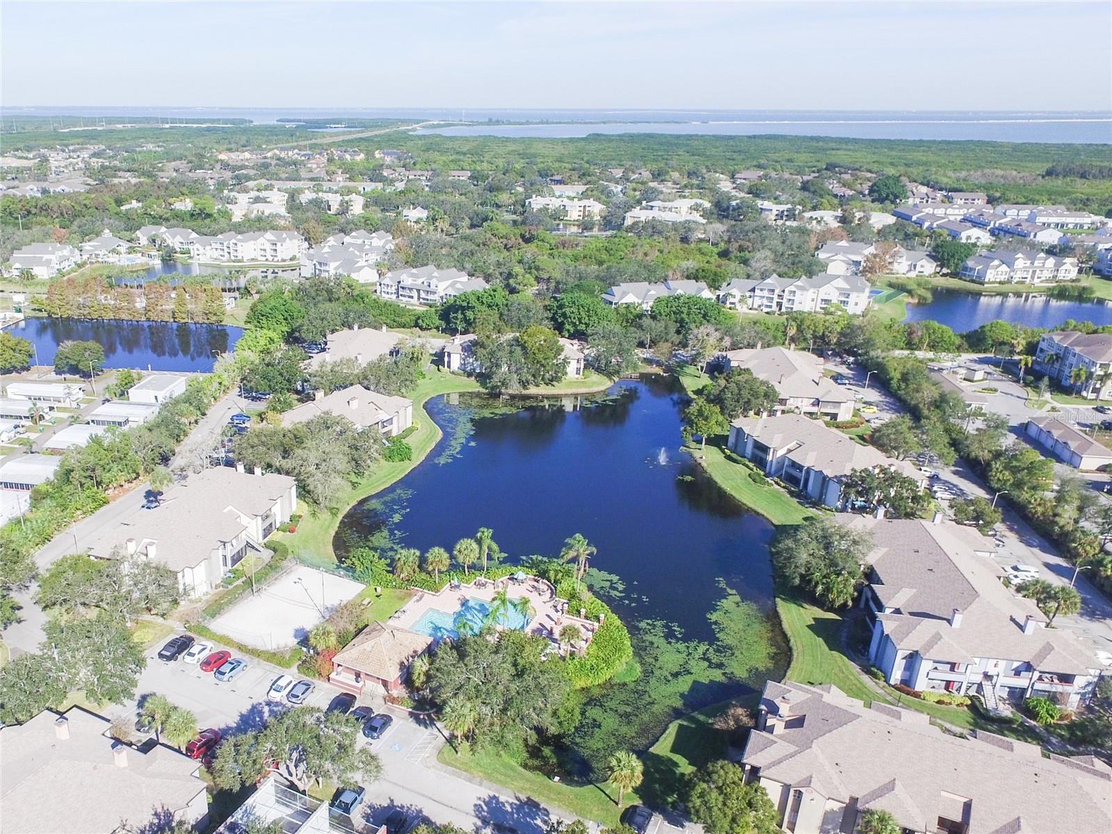 10263 GANDY BLVD N #2202, ST PETERSBURG, FL, 33702