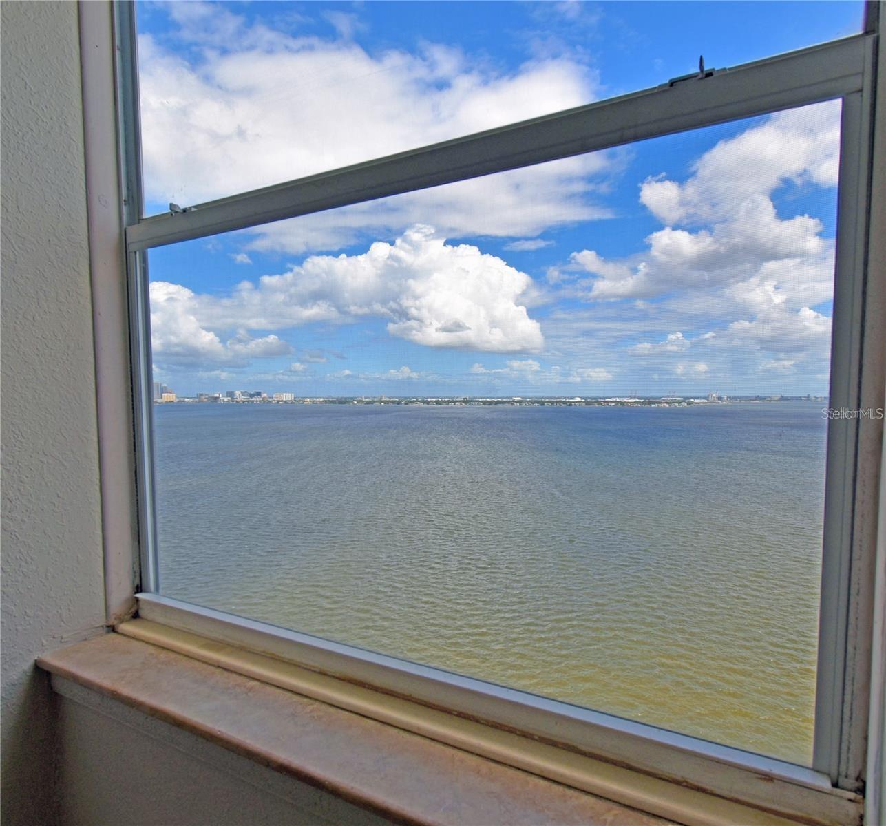 4015 BAYSHORE BLVD #17F, TAMPA, FL, 33611