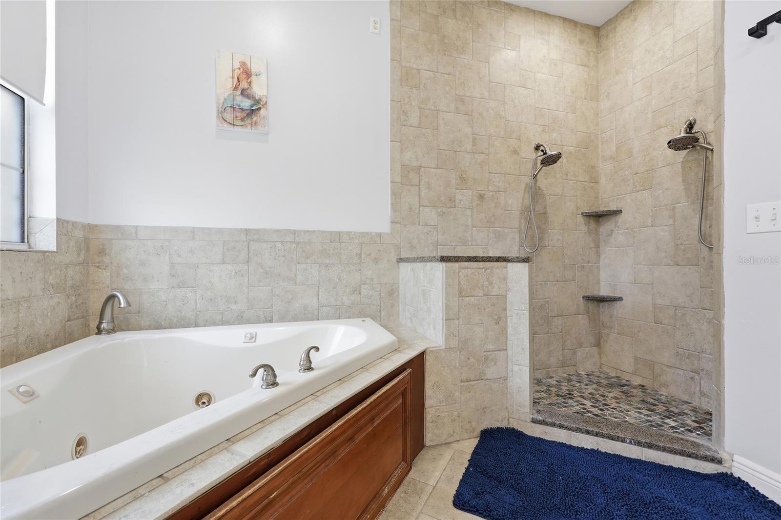 25672 NW 173RD AVE, HIGH SPRINGS, FL, 32643