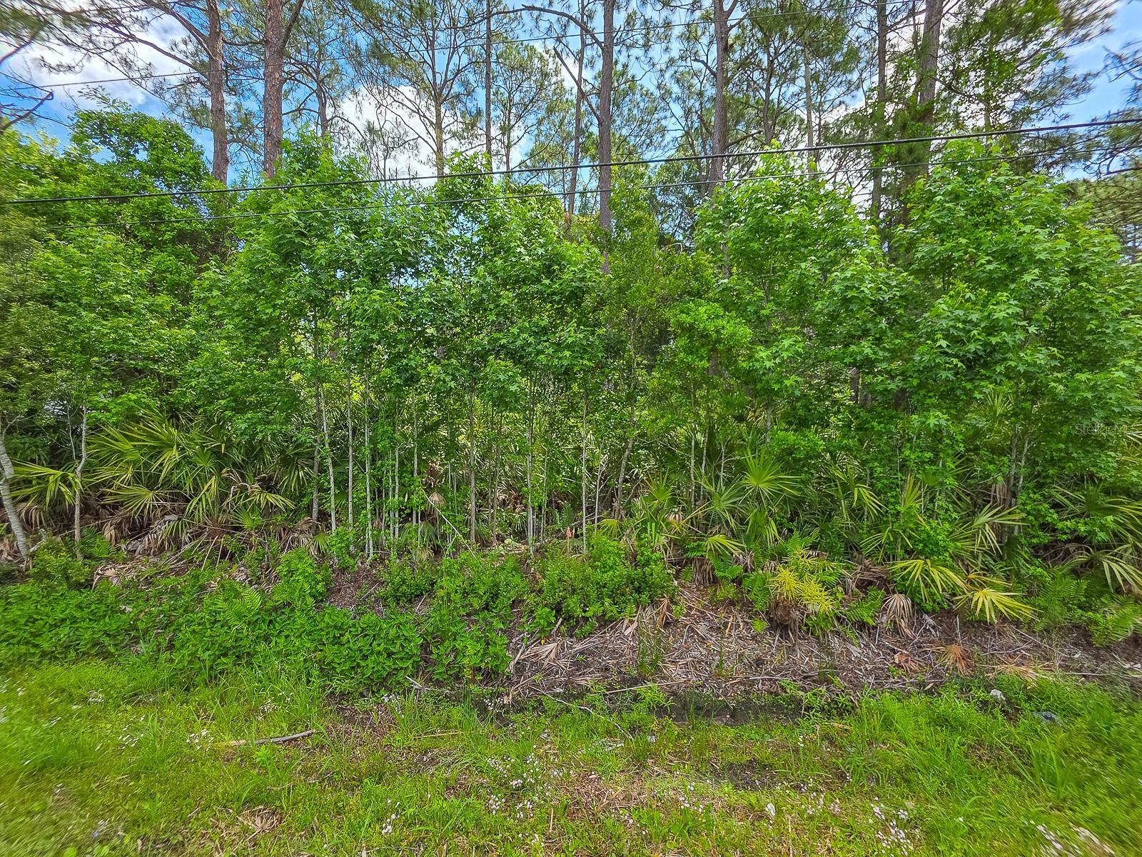9152 U S HIGHWAY 1, ST AUGUSTINE, FL, 32086
