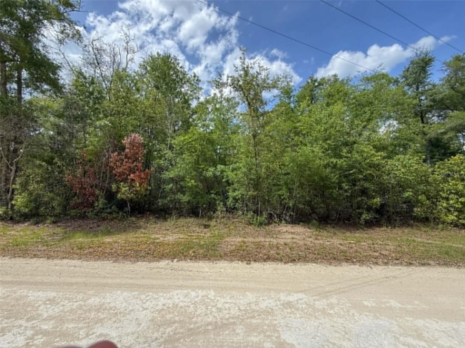 TBD 282ND TER, BRANFORD, FL, 32008
