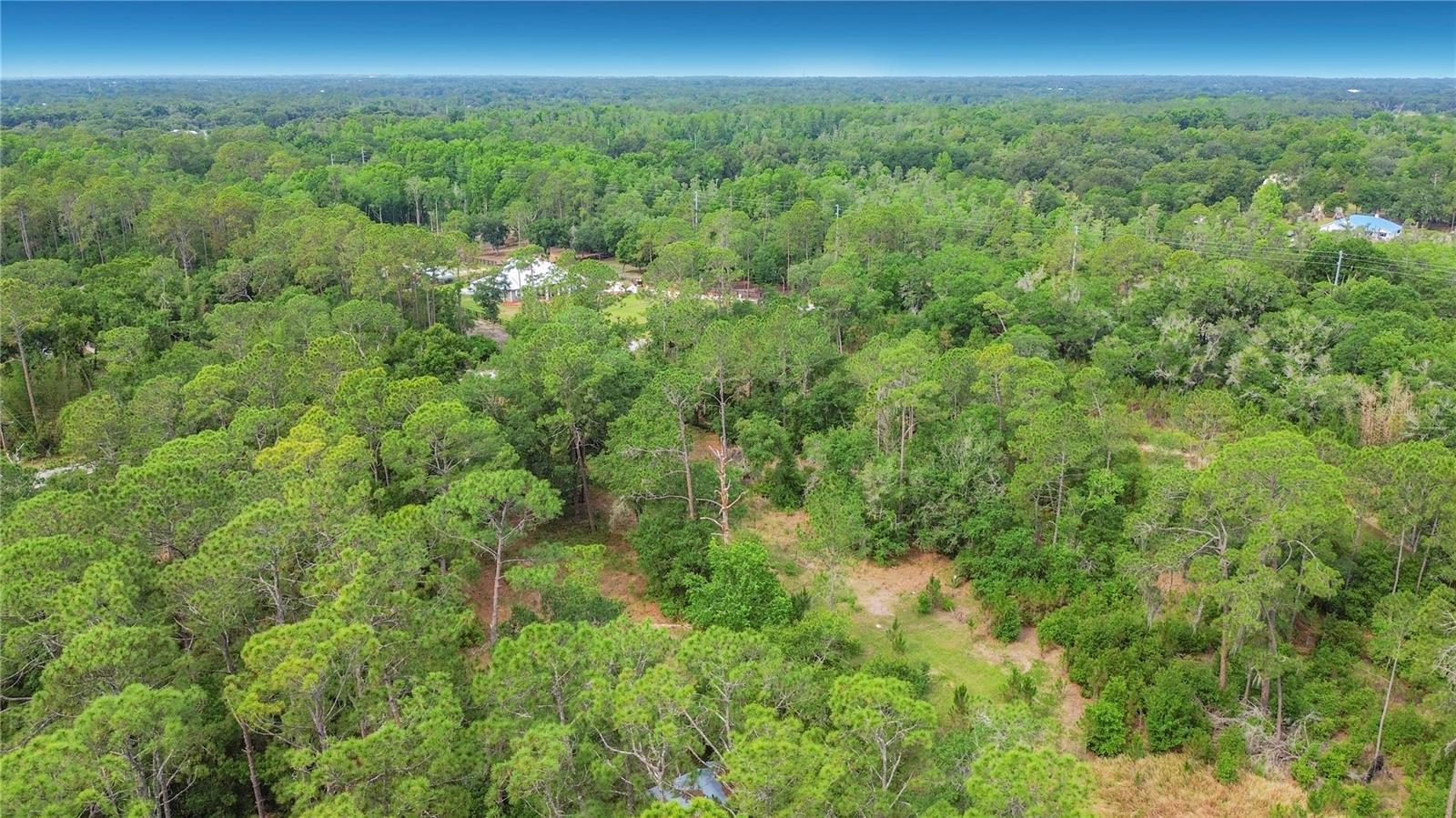 1210 PINEBEND DR, LAKELAND, FL, 33809