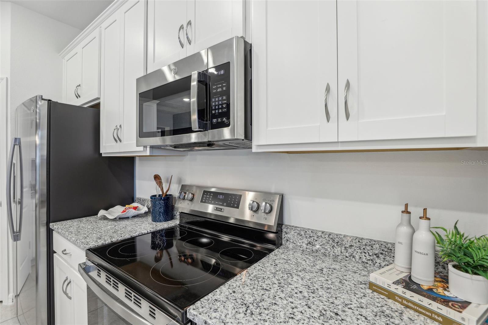 3428 SALVIA CT, TAVARES, FL, 32778