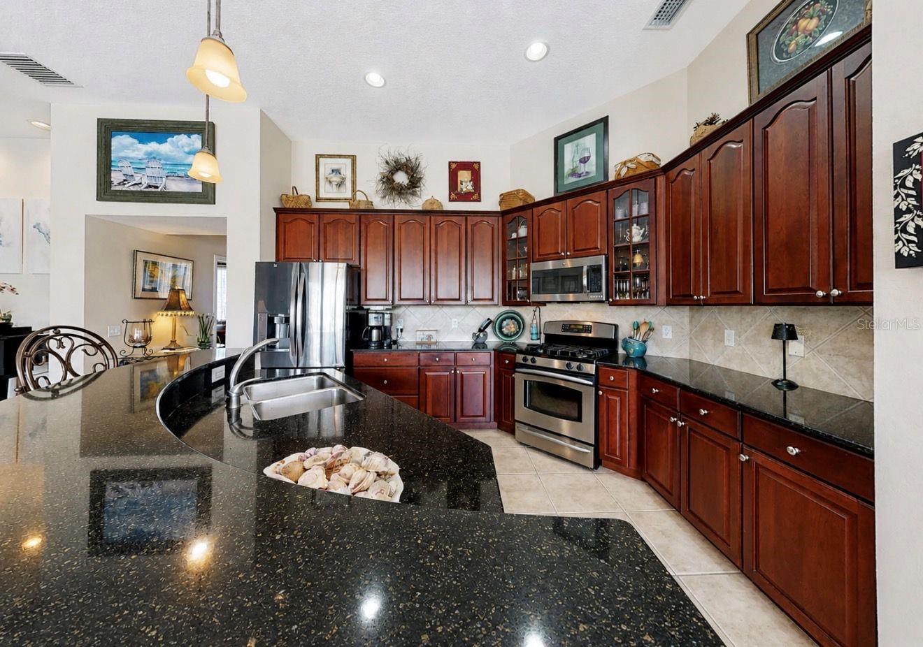 2208 MYRTLE VISTA CT, SUN CITY CENTER, FL, 33573