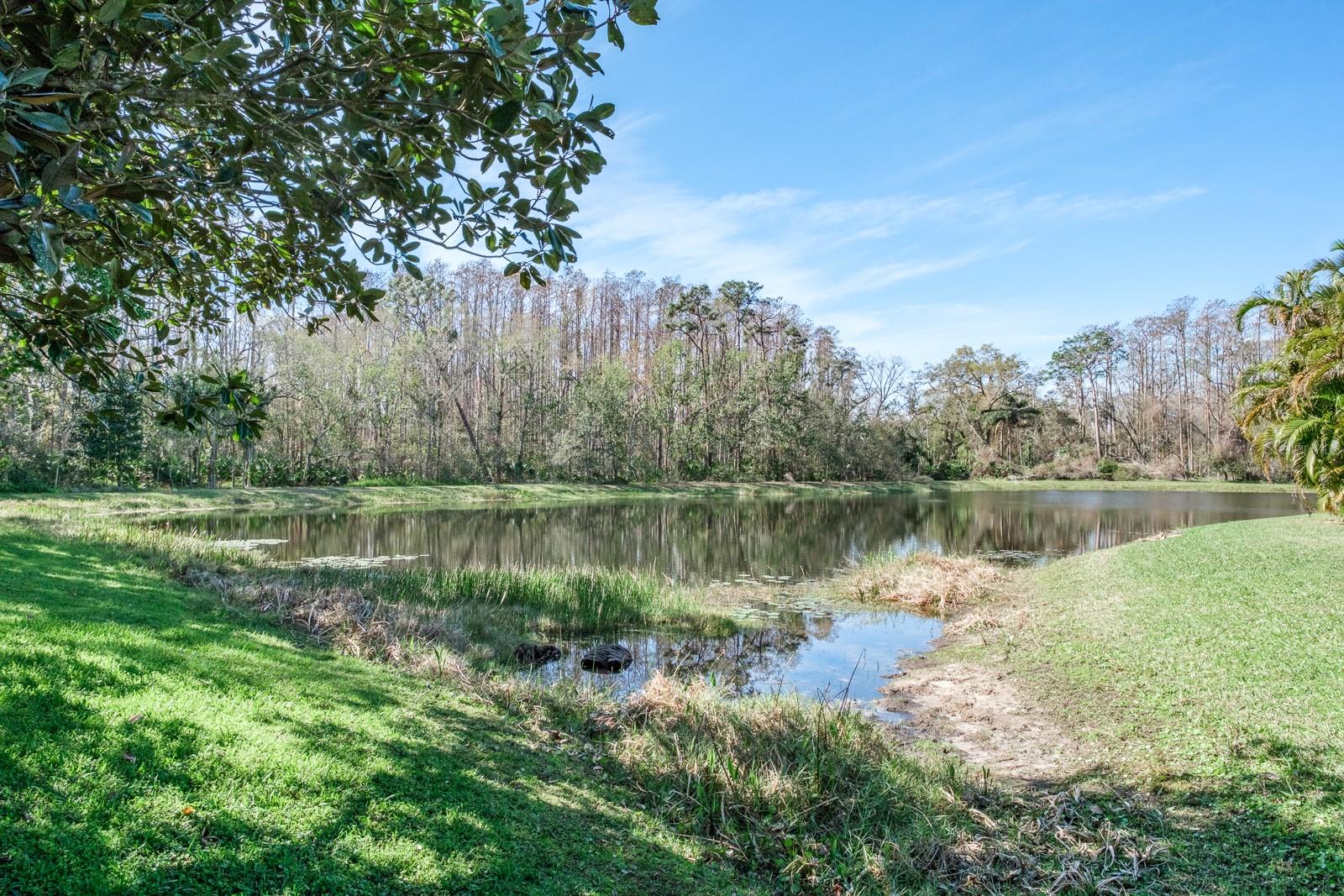 4037 AUSTON WAY, PALM HARBOR, FL, 34685