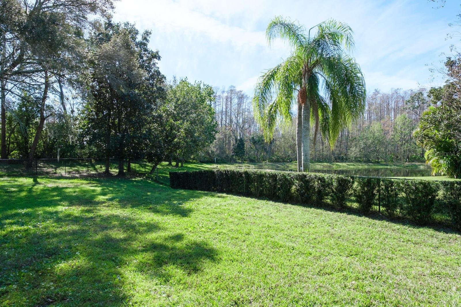 4037 AUSTON WAY, PALM HARBOR, FL, 34685