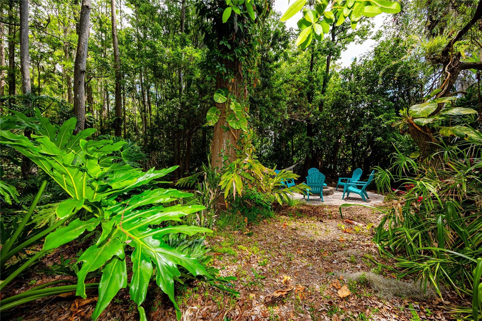 7801 HAMLET DR, NEW PORT RICHEY, FL, 34653