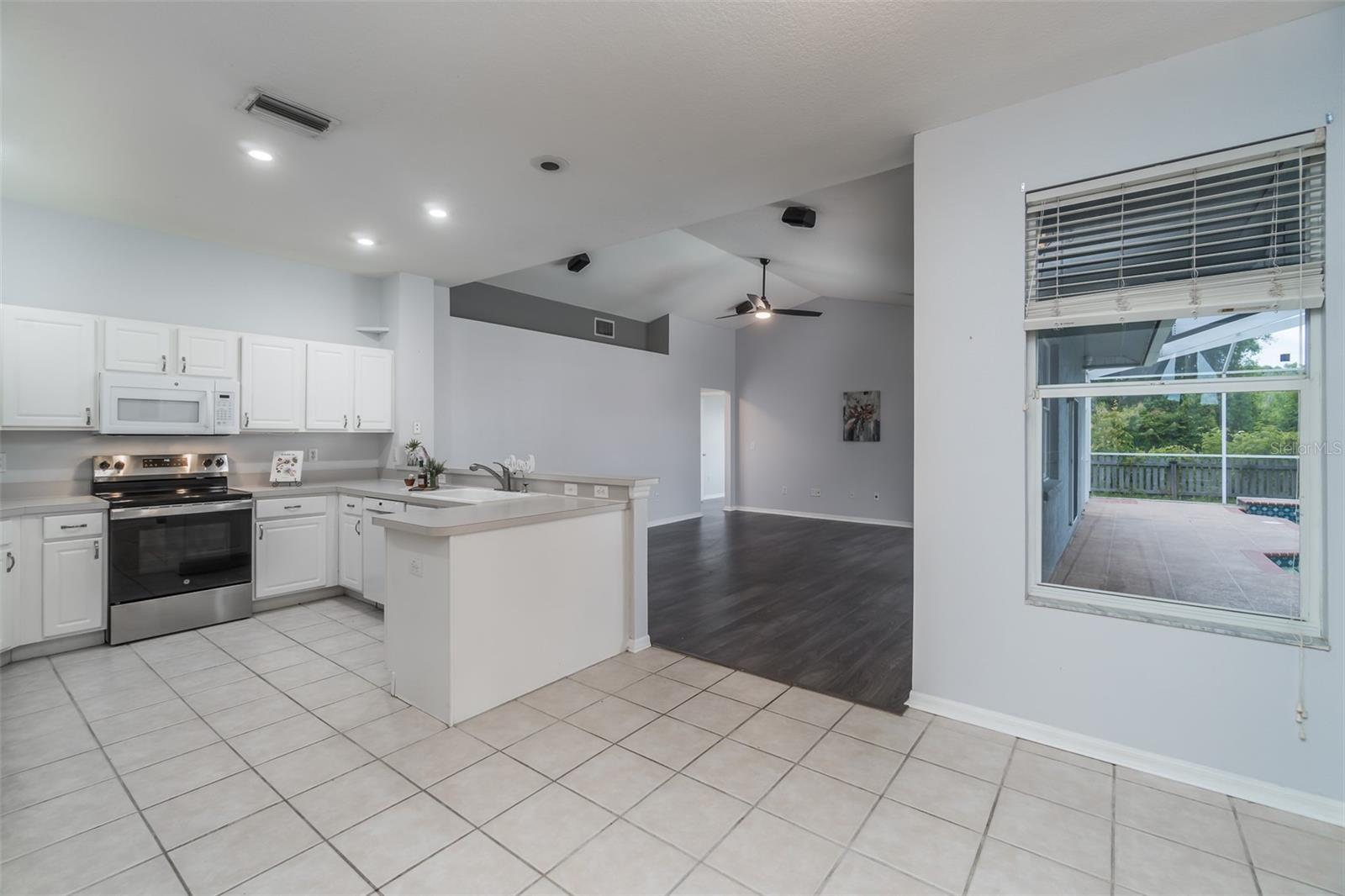 1309 PRISTINE PL, LUTZ, FL, 33549