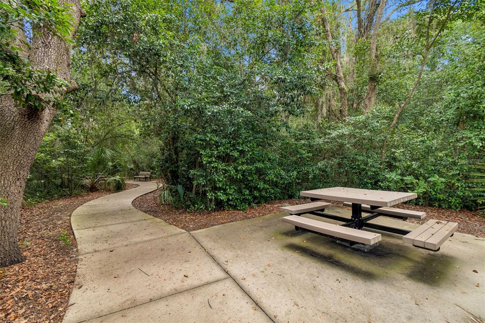 6307 SPRING CRAYFISH AVE, NEW PORT RICHEY, FL, 34653