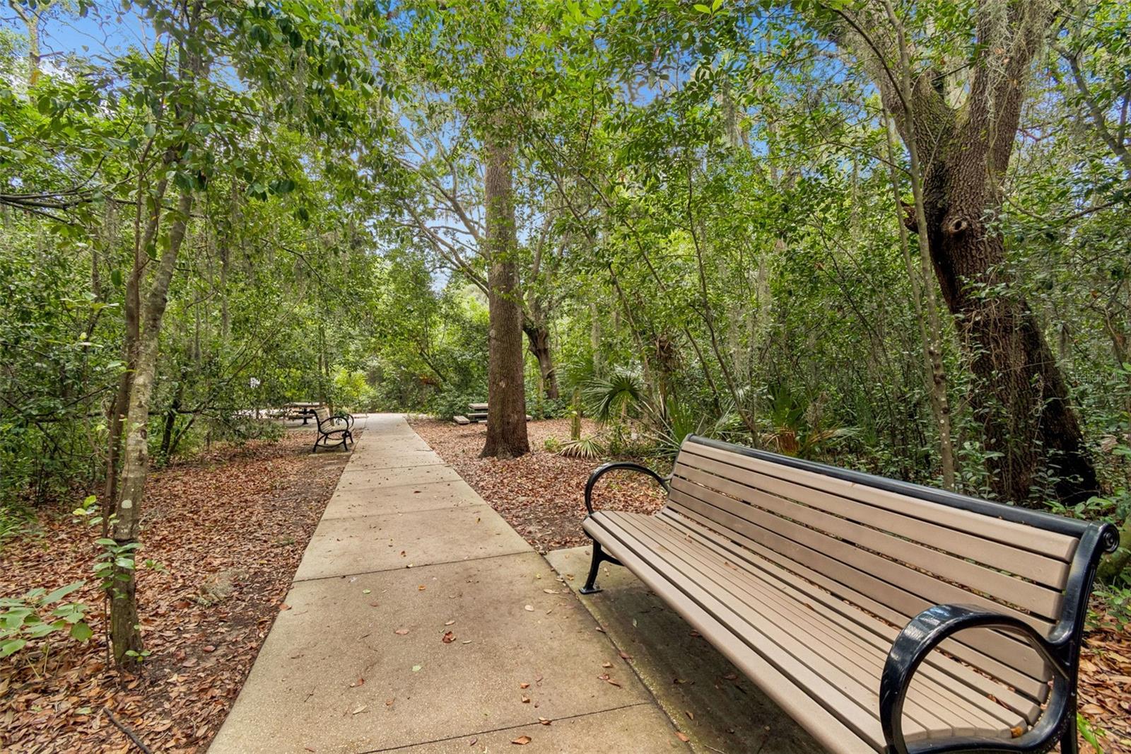 6307 SPRING CRAYFISH AVE, NEW PORT RICHEY, FL, 34653