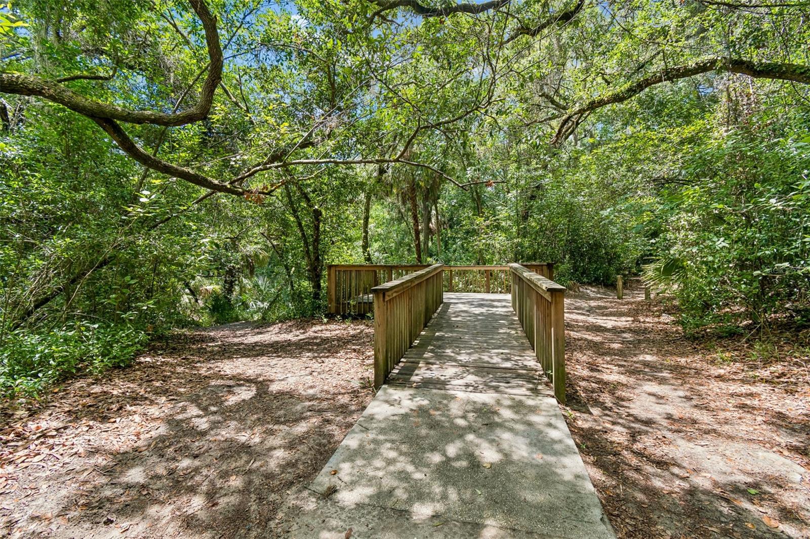 6307 SPRING CRAYFISH AVE, NEW PORT RICHEY, FL, 34653