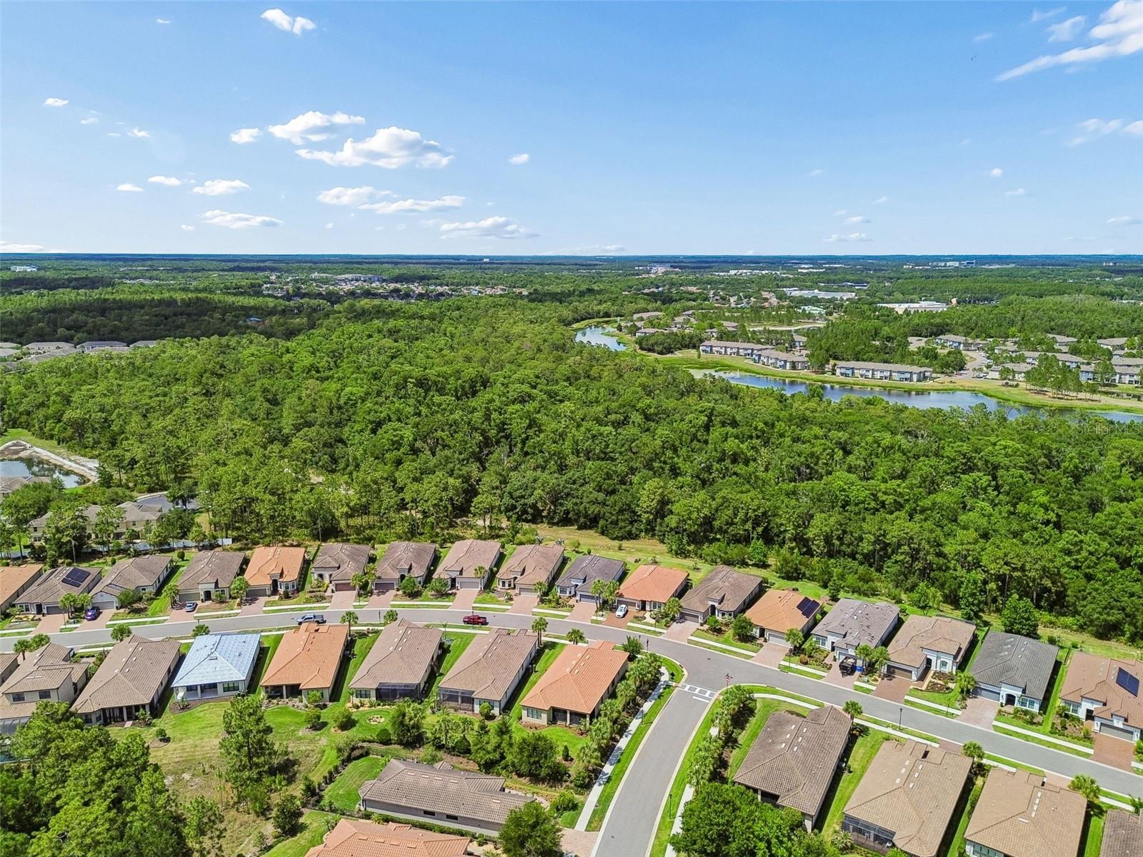 20158 UMBRIA HILL DR, TAMPA, FL, 33647