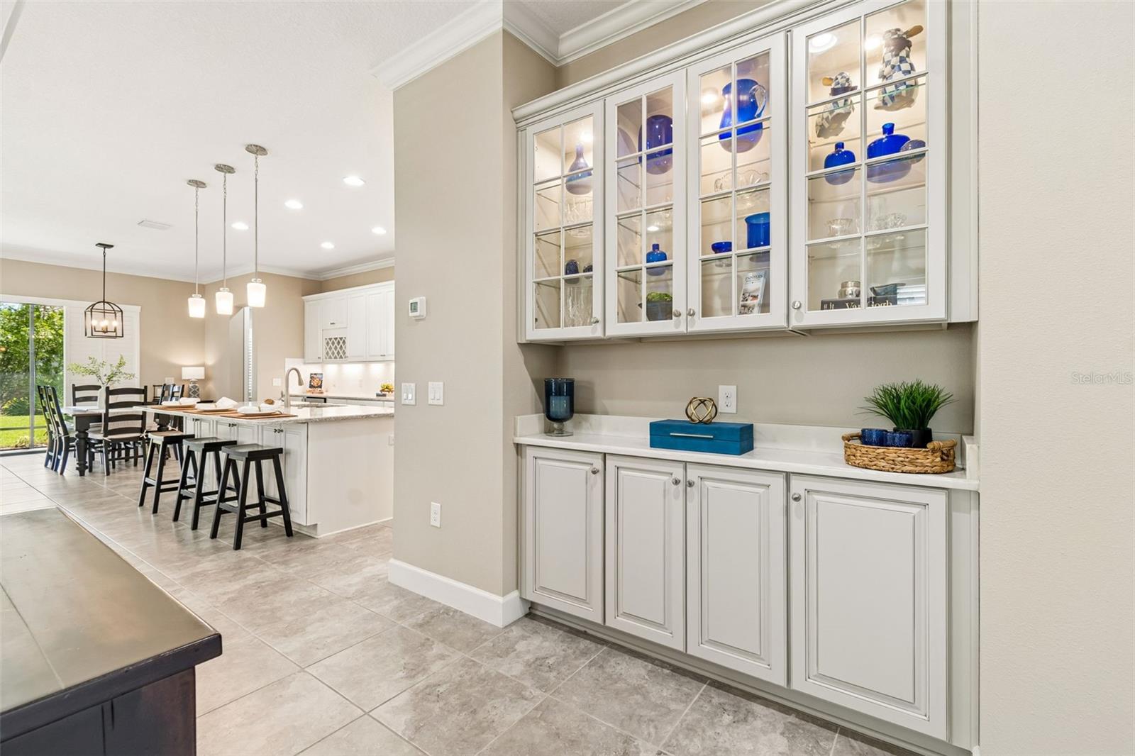 20158 UMBRIA HILL DR, TAMPA, FL, 33647