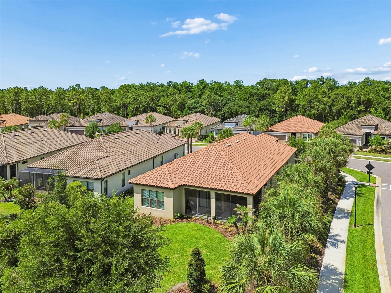 20158 UMBRIA HILL DR, TAMPA, FL, 33647