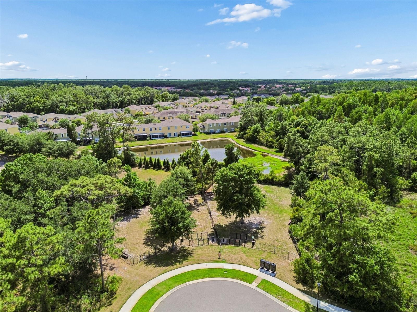 20158 UMBRIA HILL DR, TAMPA, FL, 33647