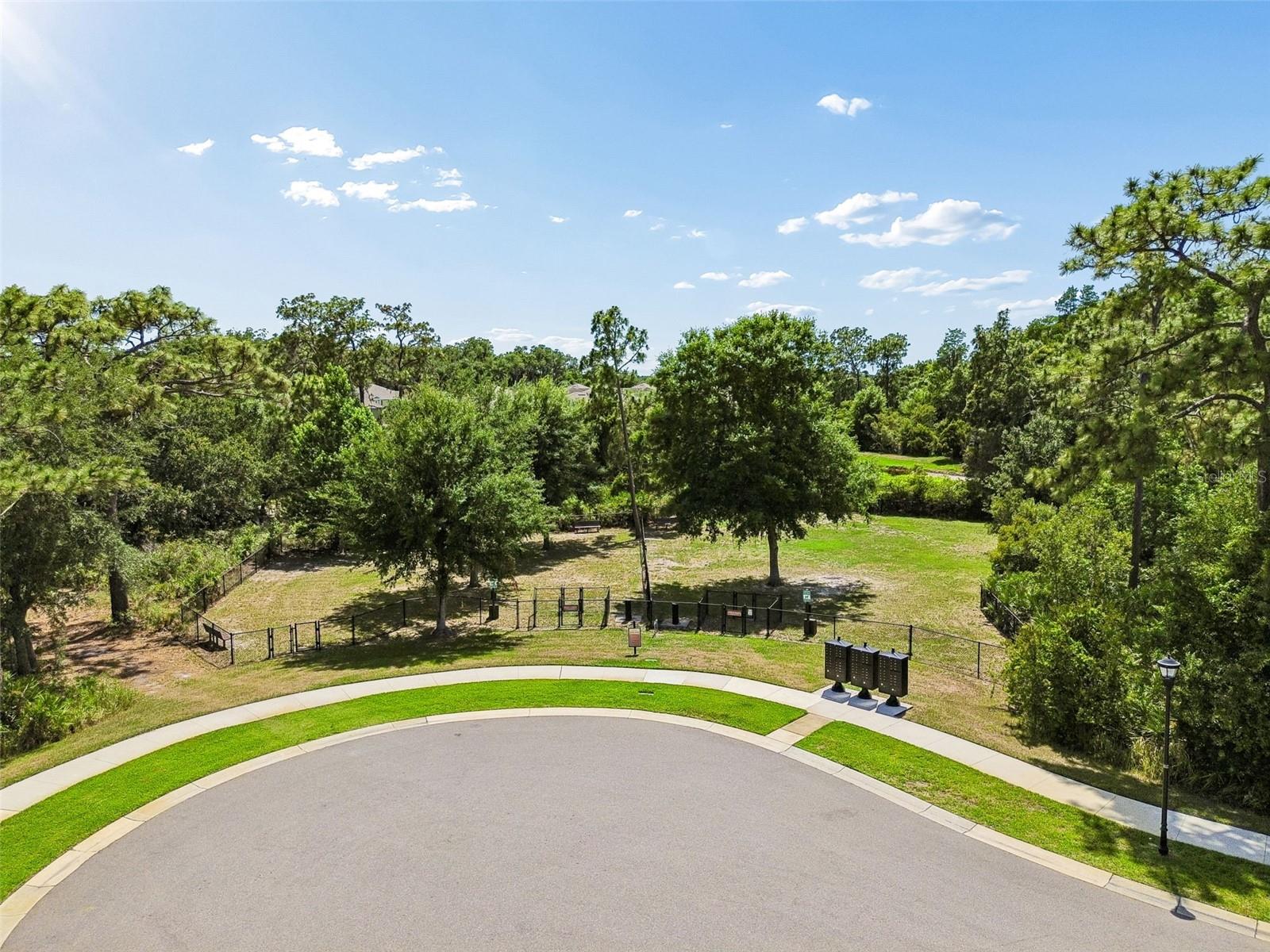 20158 UMBRIA HILL DR, TAMPA, FL, 33647