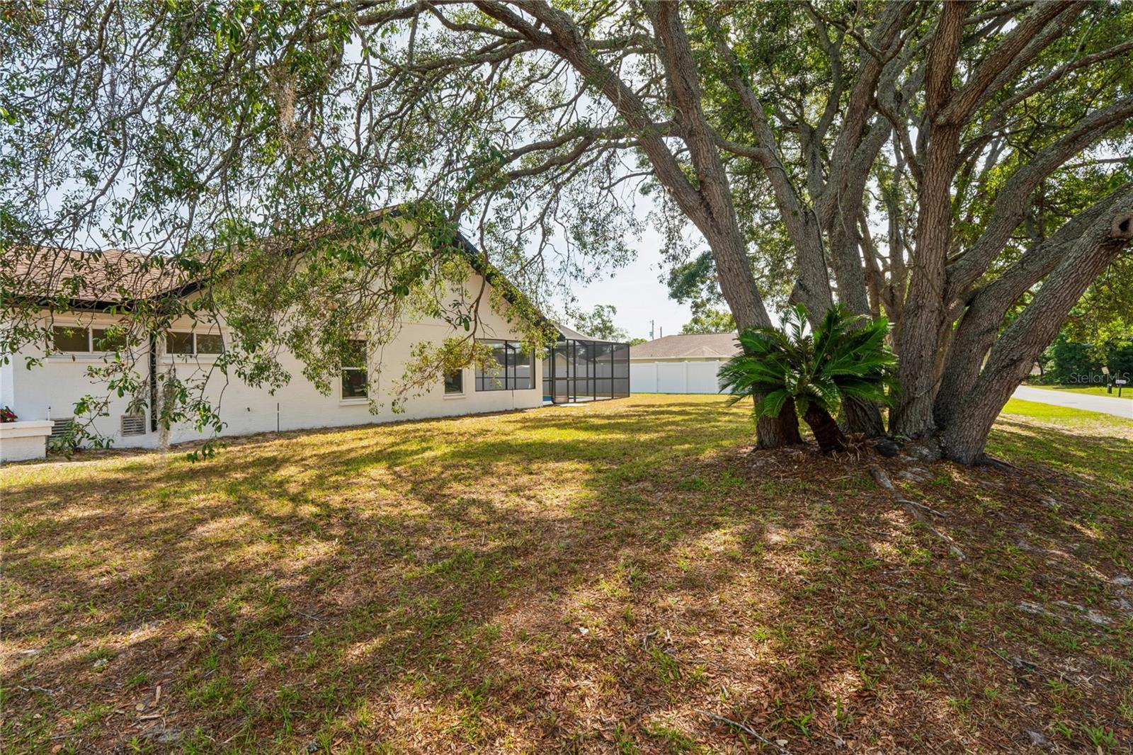 9124 ELIDA RD, SPRING HILL, FL, 34608