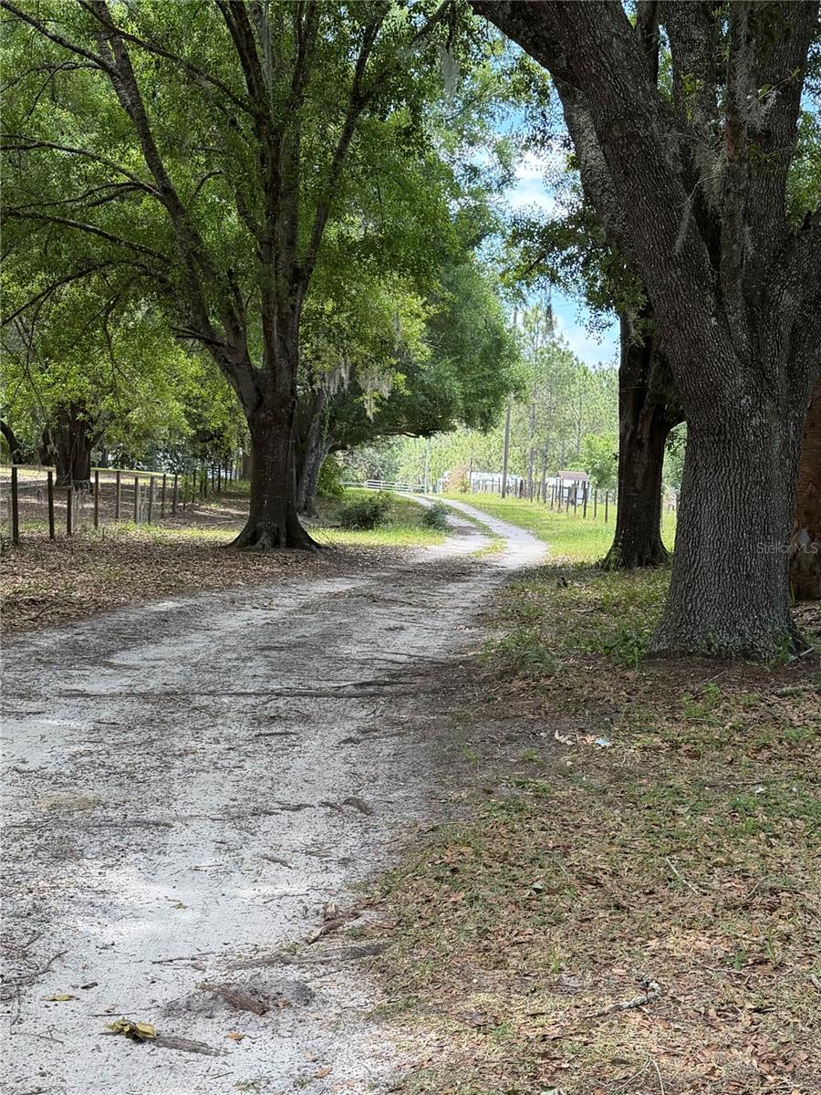 6030 GREEN POND RD, POLK CITY, FL, 33868