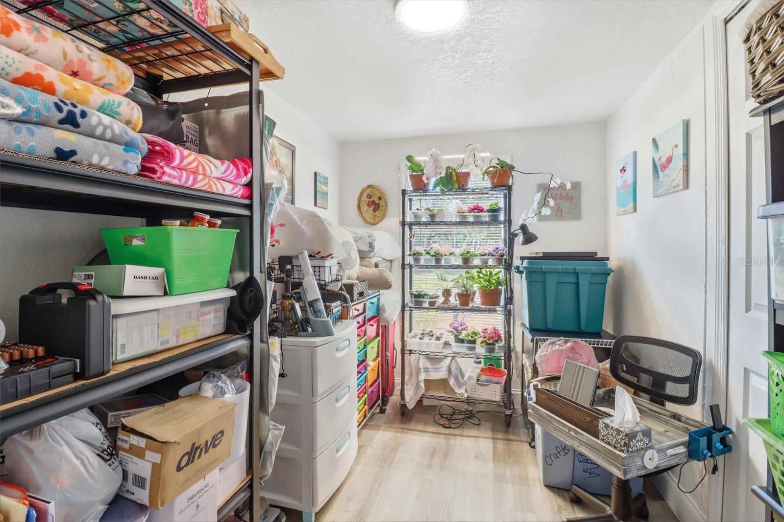 8515 W ORANGETREE ST, CRYSTAL RIVER, FL, 34428