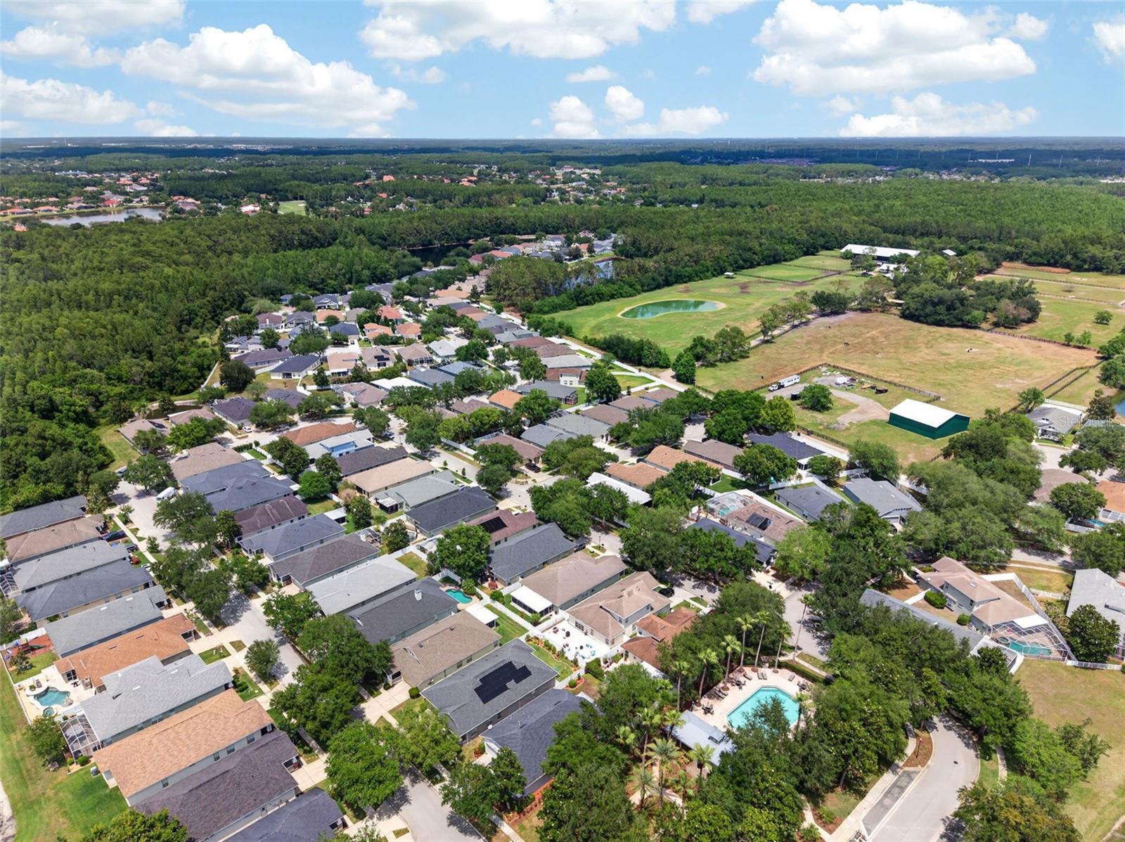 5017 TORREY HILLS LN, LUTZ, FL, 33558