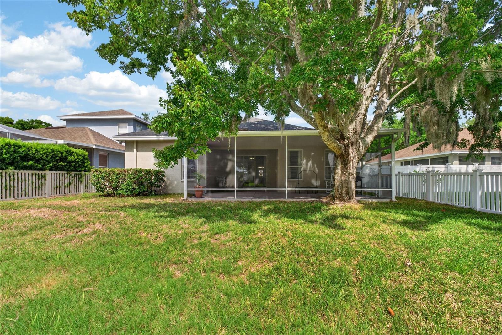 5017 TORREY HILLS LN, LUTZ, FL, 33558