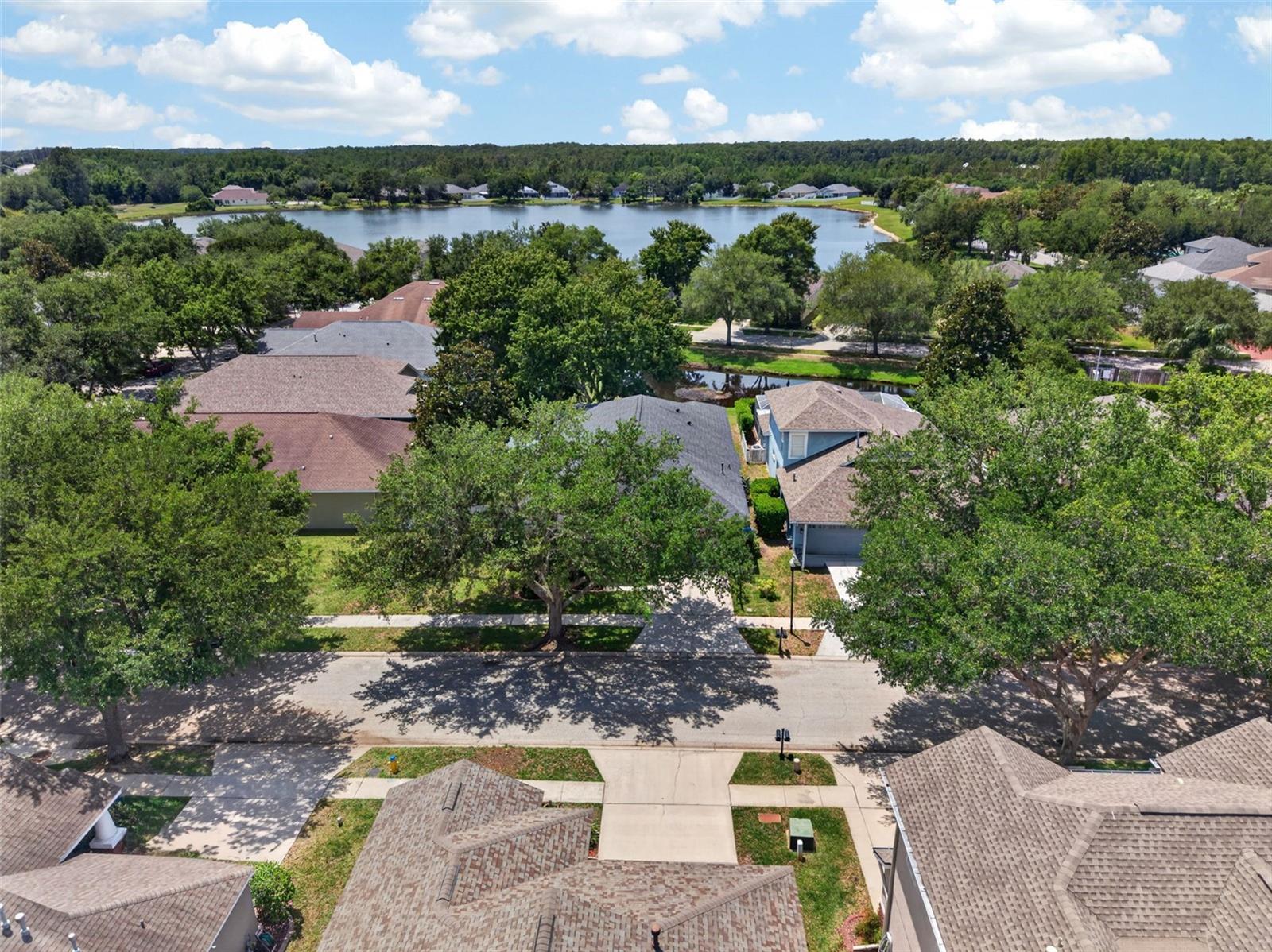 5017 TORREY HILLS LN, LUTZ, FL, 33558