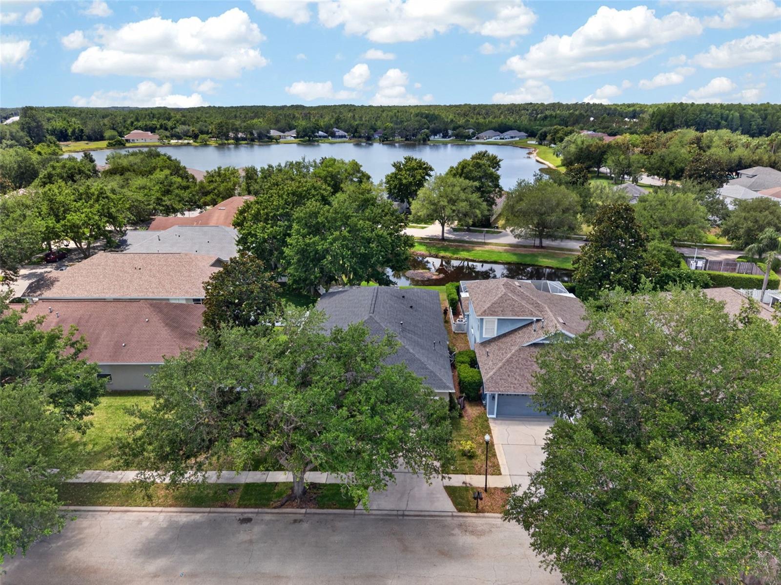 5017 TORREY HILLS LN, LUTZ, FL, 33558