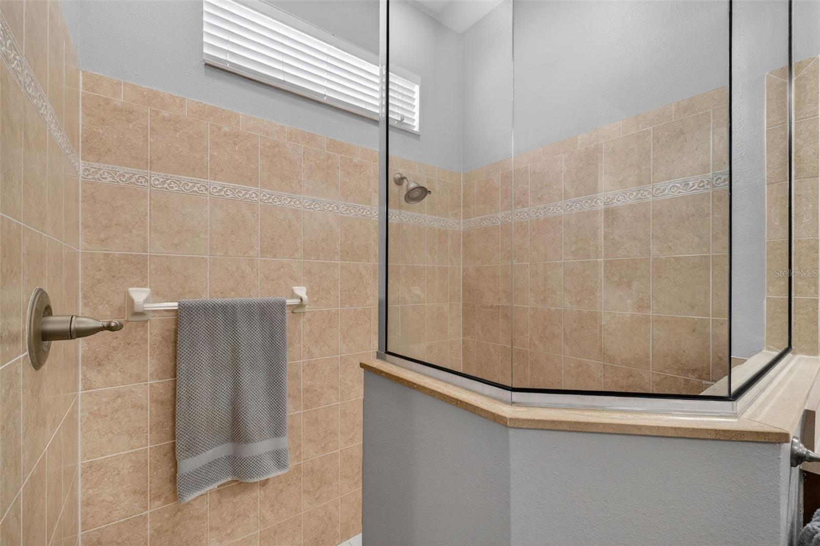 5017 TORREY HILLS LN, LUTZ, FL, 33558