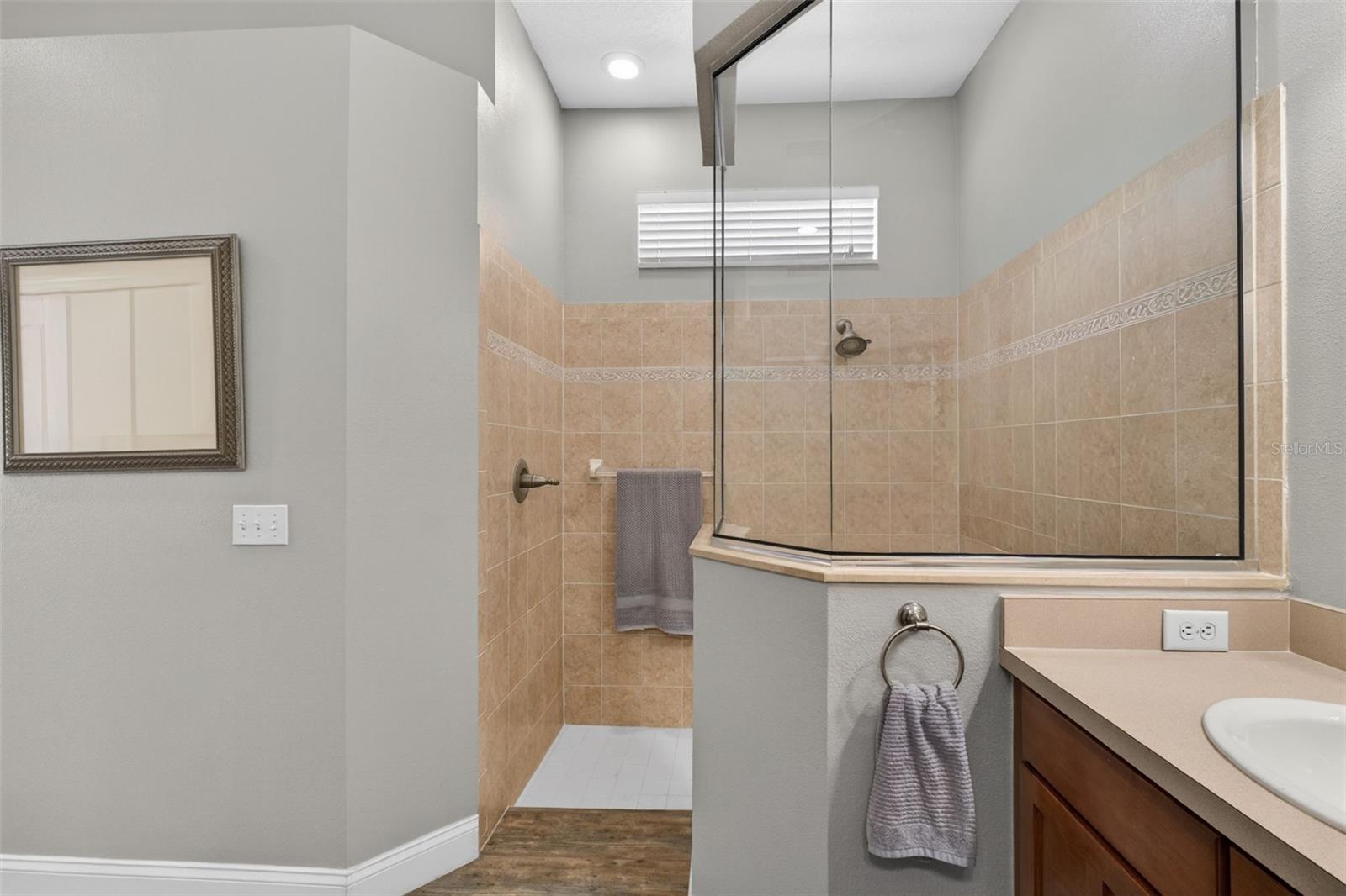 5017 TORREY HILLS LN, LUTZ, FL, 33558