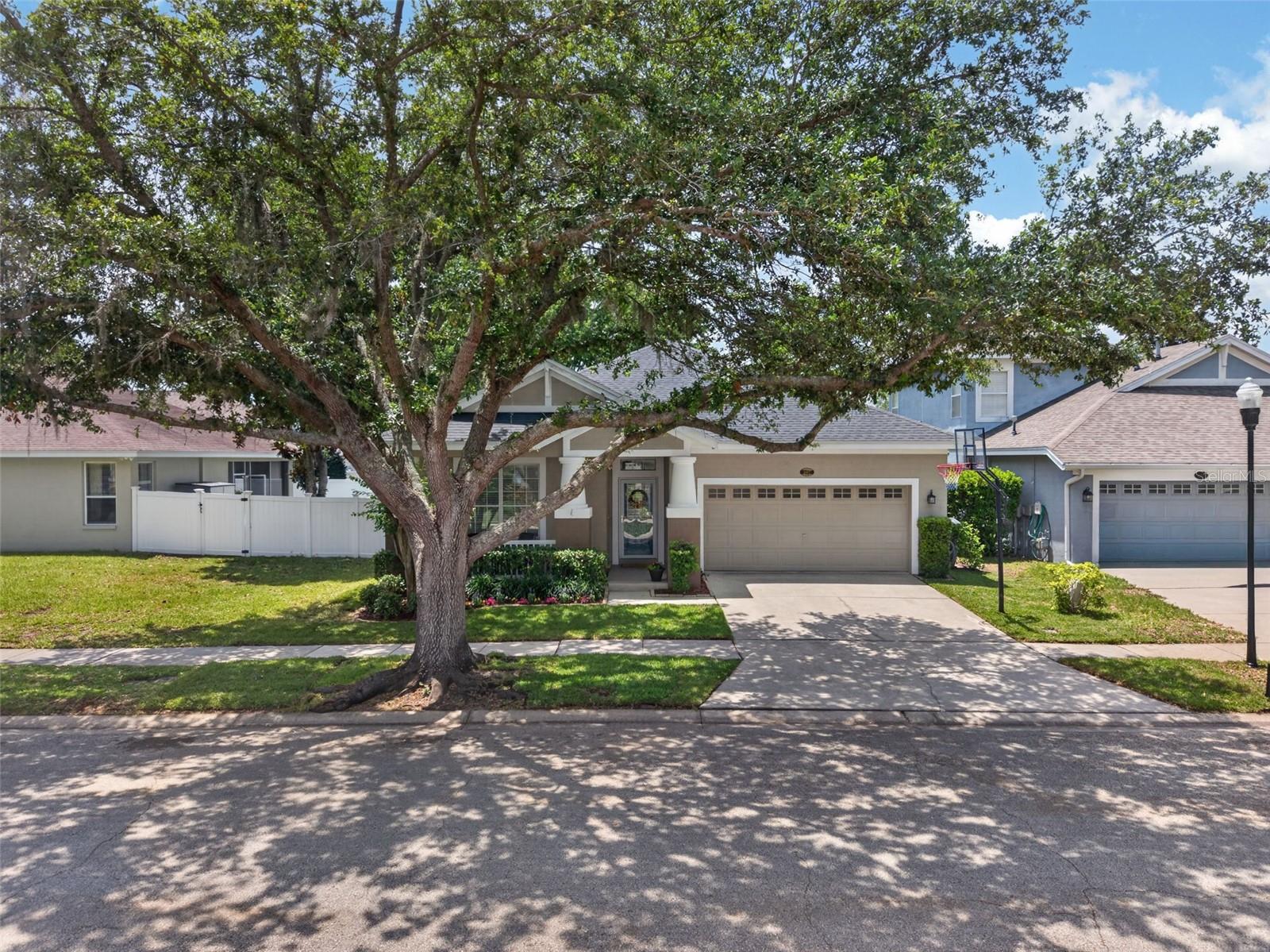 5017 TORREY HILLS LN, LUTZ, FL, 33558
