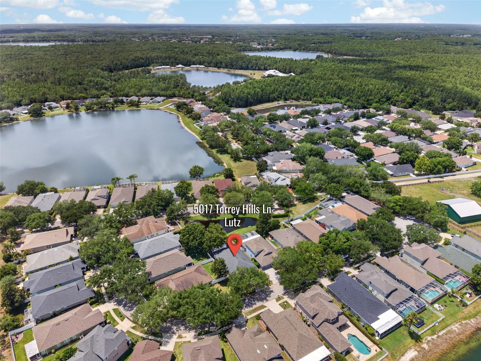 5017 TORREY HILLS LN, LUTZ, FL, 33558