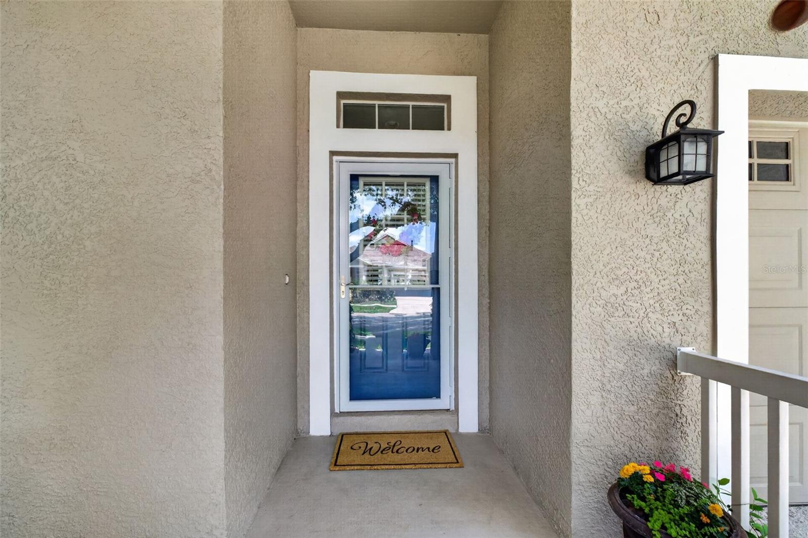 5017 TORREY HILLS LN, LUTZ, FL, 33558