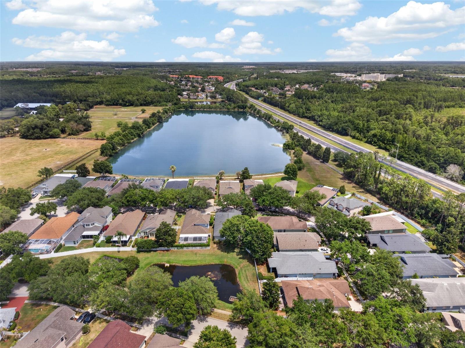5017 TORREY HILLS LN, LUTZ, FL, 33558
